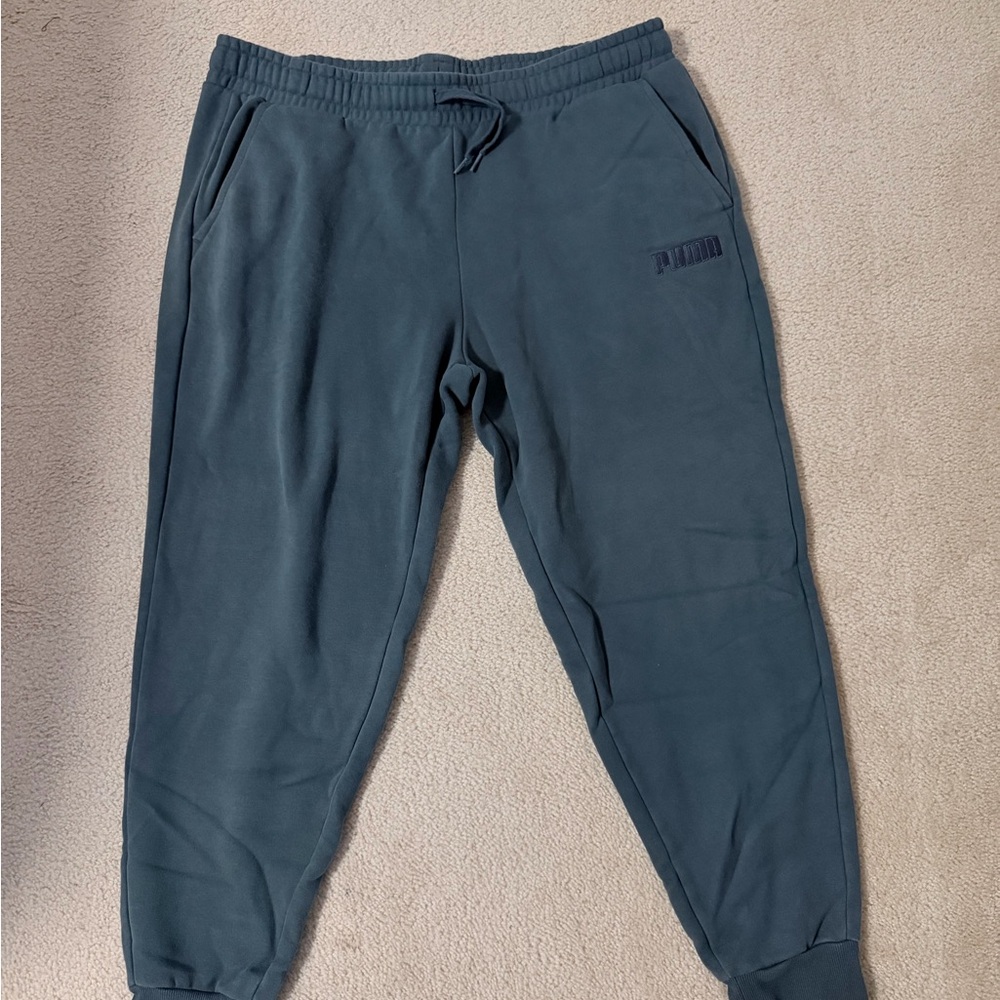 Puma Teal Jogger Pants